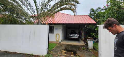 photo no. 12