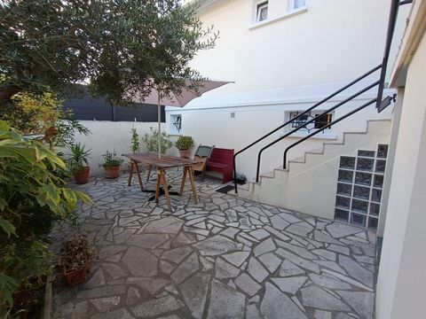 photo no. 12