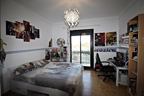 photo no. 8