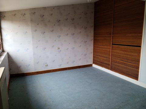 photo no. 11