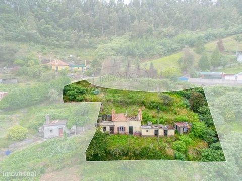 Procura um  Terreno  com viabilidade para construir o seu  Projeto  junto da  Natureza  ?   Estar inserido numa zona  Pitoresca  com uma  Paisagem Verdejante  é algo fundamental para  Si  ?   Apresentamos este  Fantástico Terreno  com  937 M2  na Rib...