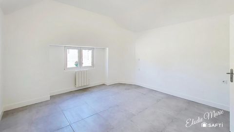 photo no. 11