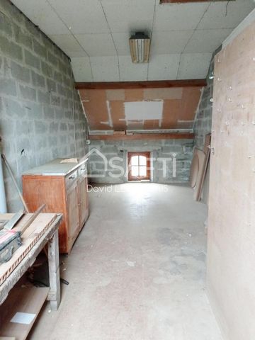 photo no. 15