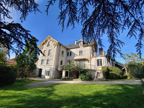 Magnifique maison de maître avec parc arboré  Millau