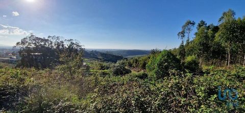 Terreno com 5000 mts urbano e 5000 mts de terreno rústico em Igreja Nova, Mafra Excelente exposição solar com vista para Serra de Sintra. Incrivel terreno com 10.000 m² (urbano e rústico) com grande potencial, à 28 km do aeroporto de Lisboa, Para uma...
