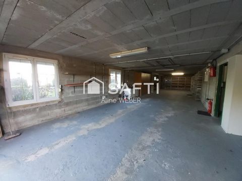 photo no. 15