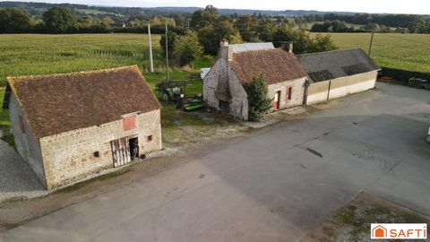 photo no. 3
