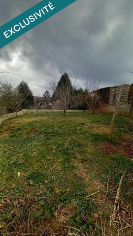 photo no. 12