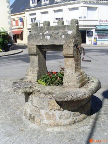 photo no. 1