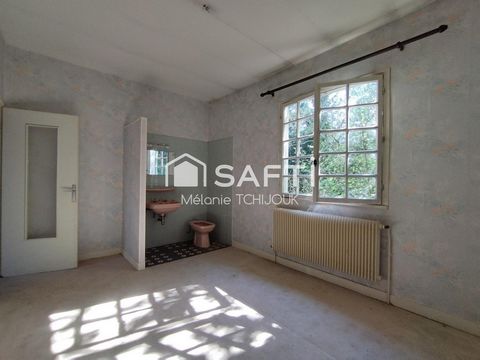 photo no. 12
