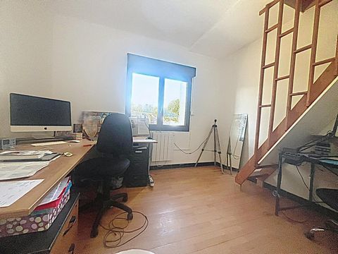 photo no. 11