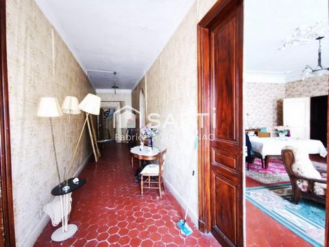 photo no. 6