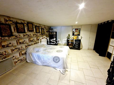 photo no. 11