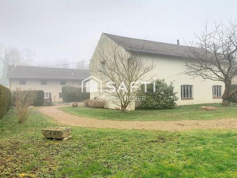 photo no. 2