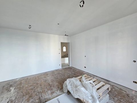 photo no. 6