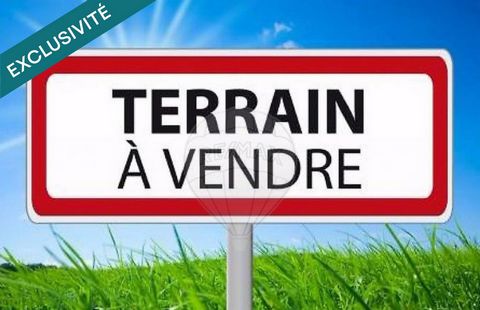 Idéal activité professionnelle