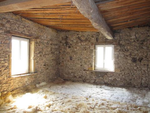 photo no. 11