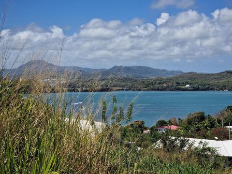 Parcelle de 774 m²