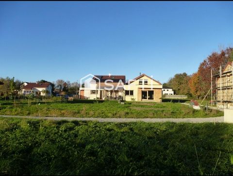 photo no. 1
