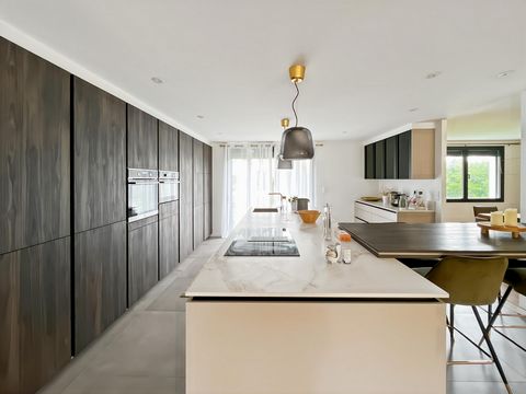 photo no. 2