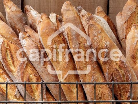 boulangerie pâtisserie snacking en position de monopole proche littoral (34)
