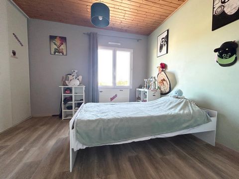 photo no. 12