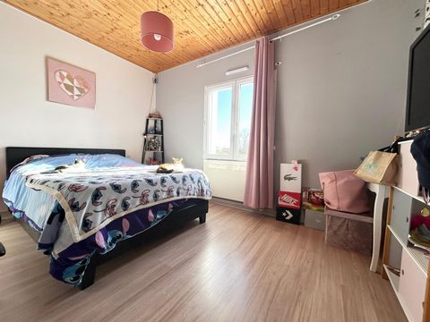 photo no. 13