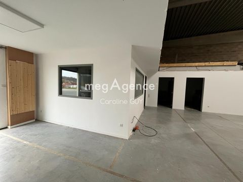 photo no. 5