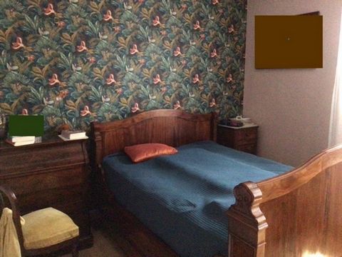 photo no. 5