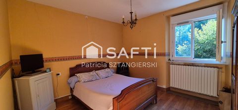 photo no. 17