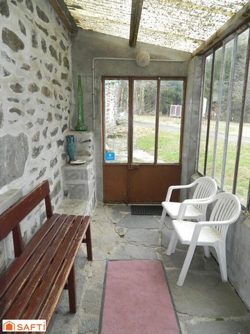 photo no. 7
