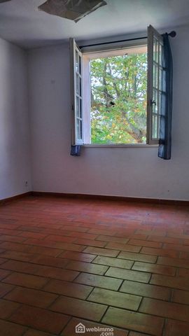 photo no. 17