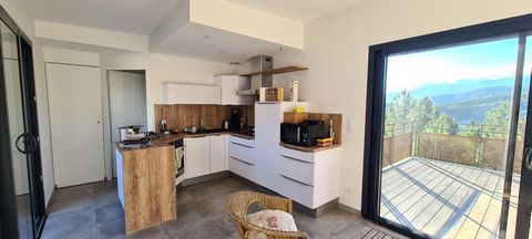 photo no. 12