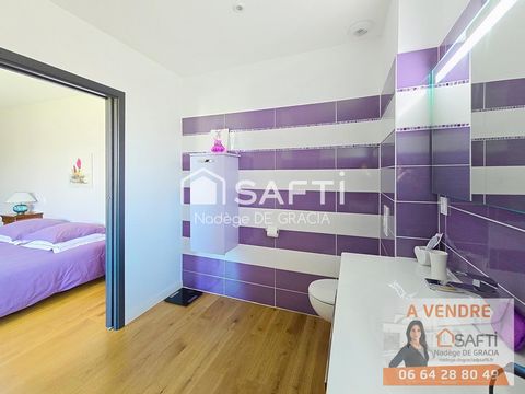 photo no. 10