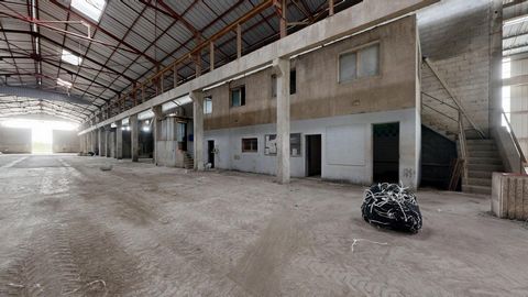 photo no. 17