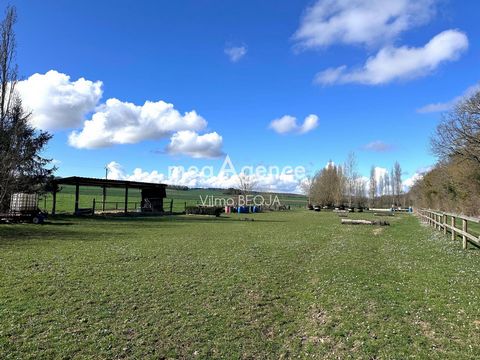 photo no. 19
