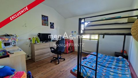 photo no. 5