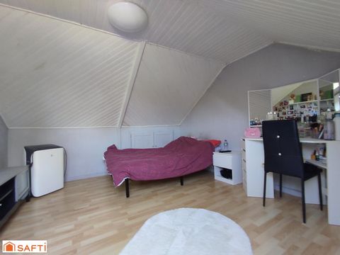 photo no. 11