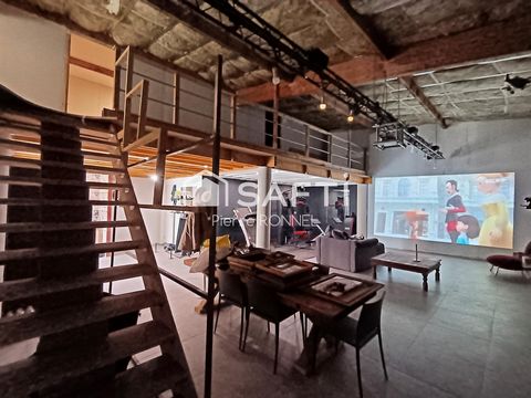photo no. 6