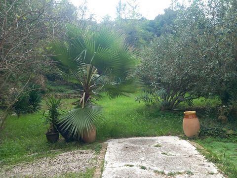 photo no. 3