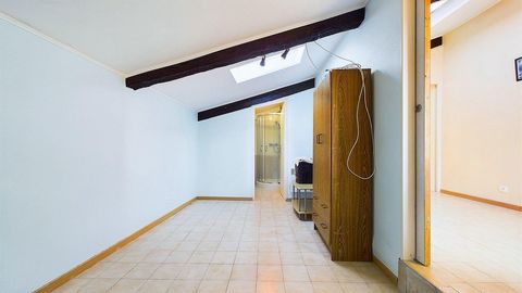 photo no. 13