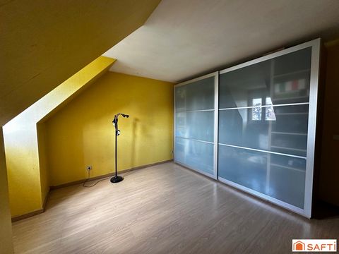 photo no. 11