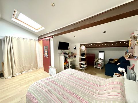photo no. 13