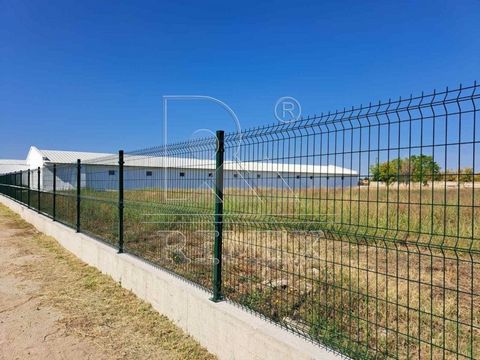 Aanbieding 84313 - Varna Plovdiv, noordelijke industriële zone, 22 km van het stadscentrum, INDUSTRIAL SITE - FACTORY met een bebouwde oppervlakte van 1 930 m², verdeeld over twee gebouwen. Het hoofdgebouw heeft een bebouwde oppervlakte van 1 230 m²....