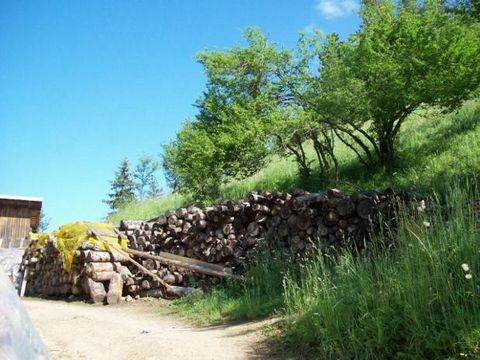 TEL: ... ; 0301 69999/ WIR BIETEN EIN GRUNDSTÜCK VON 940M² ZUM VERKAUF AN. IM SCHÖNEN RHODOPENDORF SHIROKA LAKA AN EINEM RUHIGEN, RUHIGEN UND SONNIGEN ORT - UMGEBEN VON EINEM WALD. IN DER NÄHE ALLER KOMMUNIKATIONEN. NUR 6 KM. VON DEN SKIPISTEN UND DE...