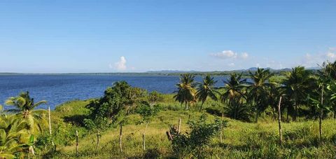 Działka z widokiem na lagunę, Miches Laguna Beach, marzenie deweloperów. Oferuje niezakłócone widoki na zapierającą dech w piersiach lagunę Miches, góry Nisibon i wzgórza Uvero Alto. To jest miejsce, w którym kokosy dosłownie spadają z drzew na twoje...