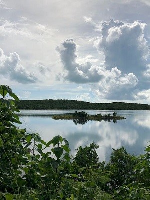 Great Location! This lot is located in the capital of Long Island, Clarence Town. The lot has good elevation with a view of the lake. The Clarence Town dock is within walking distance where one has the mail boat and the freighter from the United Stat...