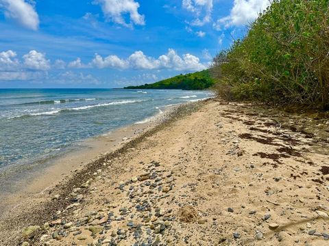 Imagine what you could do with 39 acres of raw land with gorgeous sea views and 1000 feet of beach to go with it! Sunshine, warm tropical breezes, and beautiful views overlooking the Caribbean located on St. Croix's fertile West End, beloved for its ...