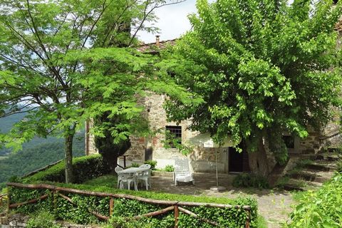 Dit vakantiehuis heeft 2 slaapkamers en is geschikt voor 4 personen, ideaal voor een gezin. Het ligt in Toscane, bij het plaatsje Dicomano. Deze locatie is perfect gelegen om Toscane te verkennen. Het appartement ligt op een heuvelrug met een vismeer...