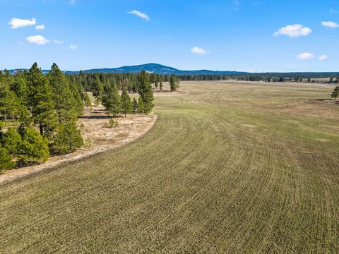 80-acre productive farm and ranch in Lewis County, ID with approximately 20 acres of tillable ground and 60 acres of timbered pasture ground. This unique property offers a blend of agricultural productivity, natural beauty, and recreational possibili...